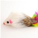 اسباب بازی گربه آیمیگو سری Color Mouse Toy مدل CMY0067