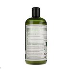 شامپو ضدریزش و تقویت‌کننده مو پتال فرش مدل TeaTree حجم 475 میلی‌ لیتر