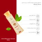 شامپو مو سینره مدل Wheat Germ حجم 250 میلی‌لیتر