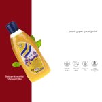 شامپو موهای معمولی شبنم مقدار 1000 گرم