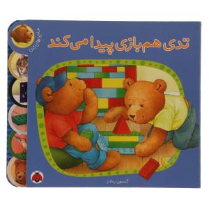کتاب ماجراهای تدی تدی هم بازی پیدامی کند اثر آلیسون رنلدز