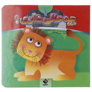 کتاب چه حالی داری شیر اثر محسن فولادشکن