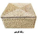 ارگانایزر مدل BIAF036