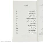 کتاب انقلاب های پر هیاهو اثر تری دیری نشر افق
