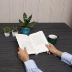 کتاب صید ماهی بزرگ اثر دیوید لینچ نشر بیدگل