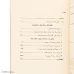 کتاب مقصر تو نیستی اثر رامانی دورواسولا ترجمه مریم مقدم انتشارات کتاب کوله پشتی