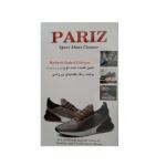اسپری تمیز کننده کفش پاریز مدل PAR-SPO به همراه اسفنج
