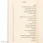 کتاب جاسوس بزرگ اثر دیوید کد ترجمه آناهیتا نیک مهر انتشارات پاپلی