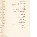 کتاب جاسوس بزرگ اثر دیوید کد ترجمه آناهیتا نیک مهر انتشارات پاپلی