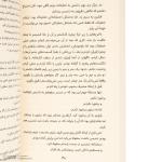 کتاب جاسوس بزرگ اثر دیوید کد ترجمه آناهیتا نیک مهر انتشارات پاپلی