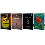کتاب دبی عزیز، عشق سابق، مزاحم نشوید و یادت هست؟ اثر فریدا مک‌فادن ترجمه پریسا رجوند نشر آذرگون 4 جلدی