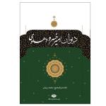 کتاب دیوان امیر خسرو دهلوی نشر نگاه
