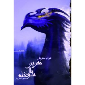 کتاب خواب سقوط مجموعه نفرین بال سوخته اثر زهرا افشار زیبا نشر کتابسرای تندیس کتاب دوم