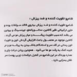 شامپو تقویت‌کننده و ضد ریزش مو بیتروی مخصوص پوست سر معمولی و موهای کم‌حجم و نازک، حجم 200 میلی‌لیتر مدل Ginseng and Saw Palmetto، حاوی ویتامین‌های B، D، F، H، K، بدون سولفات، آبرسان، بازسازی‌کننده و خنک‌کننده با عصاره نارگیل، دم‌اسب و نخل اره‌ای