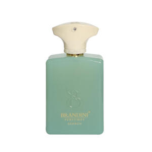 عطر جیبی برندینی مدل Search حجم 33 میلی لیتر