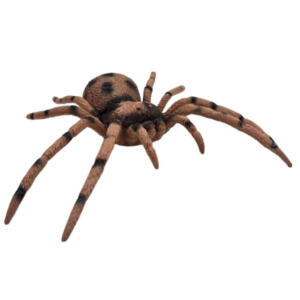 فیگور ناب سل مدل رتیل کد TARANTULA NAAB007 ارتفاع 4 سانتی‌متر